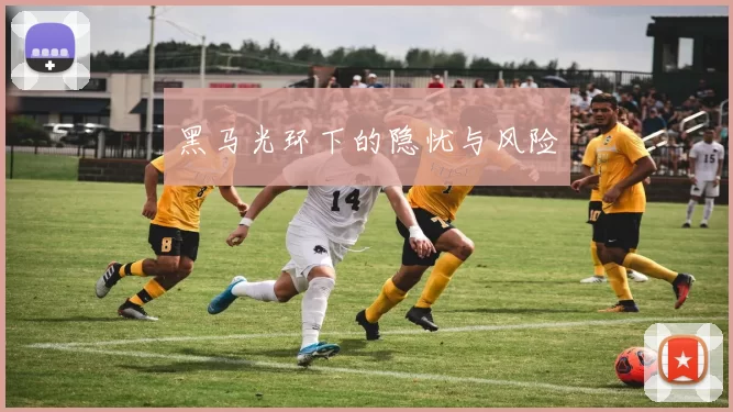 黑马光环下的隐忧与风险