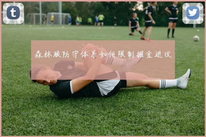 森林狼防守体系如何限制掘金进攻