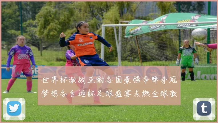 世界杯激战正酣各国豪强争锋夺冠梦想各自远航足球盛宴点燃全球激情